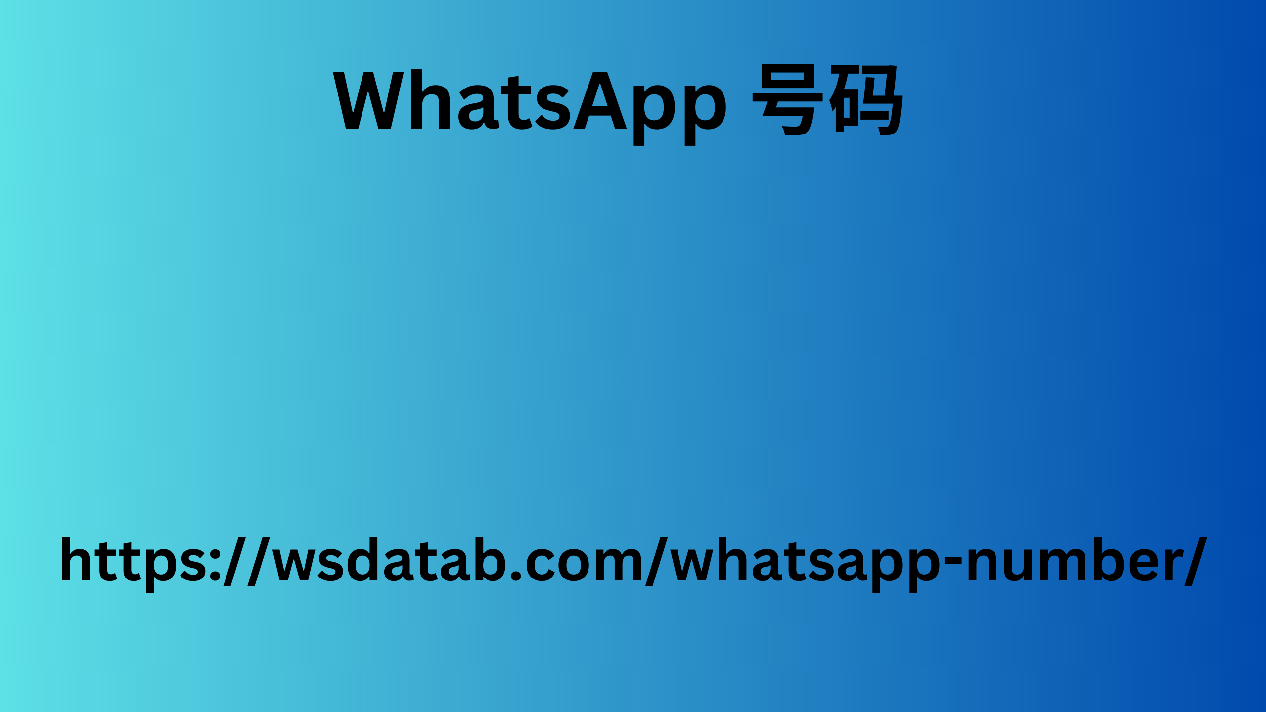 WhatsApp 号码